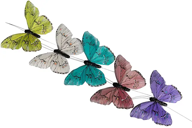 Stick Butterfly Oriental Mix