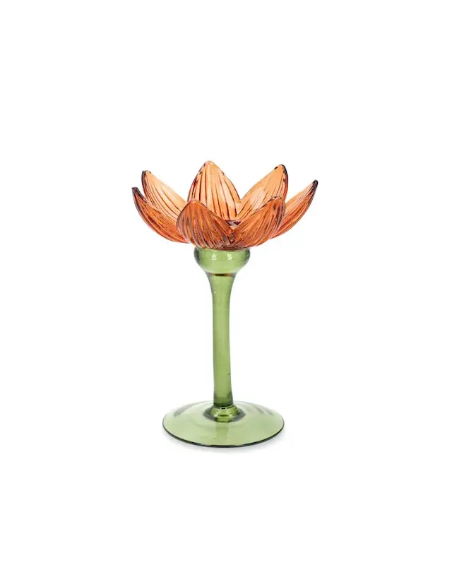 Kynttilänjalka vesililja