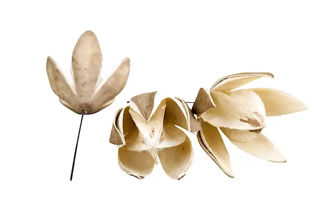 Wild Lilly Trådad