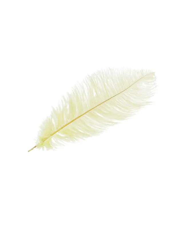 Strutsfjäder Ljusgul