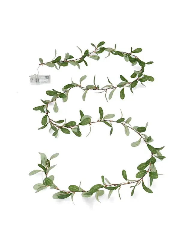 Ljusslinga Eukalyptus LED