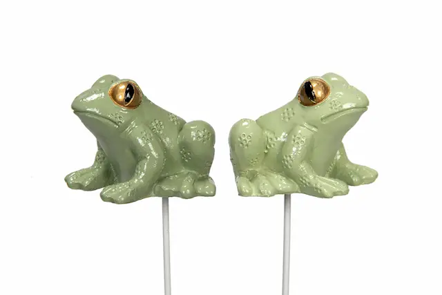Tikku sammakko Duo lajitelma