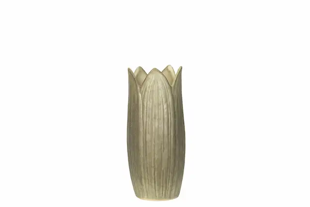 Vase Leaf Fog