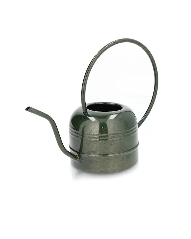 Watering Can Leo Kale