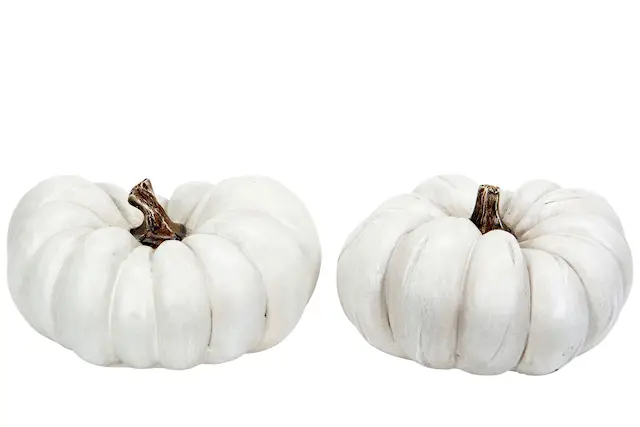 Pumpa Vit Mix Poly