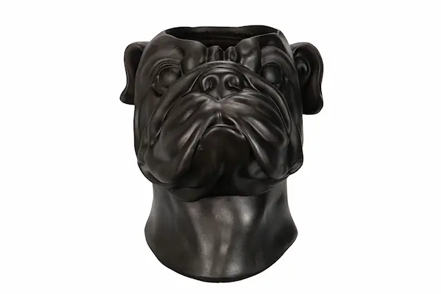 Pot Bulldog
