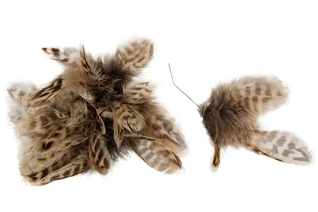 Fjäder Trådad Blom Rand