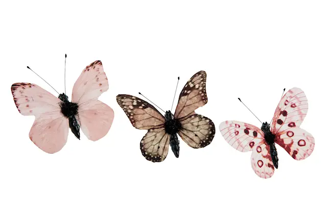 Clip Fjäril Brunrosa Mix