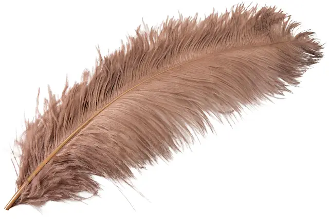 Strutsfjäder Nougat