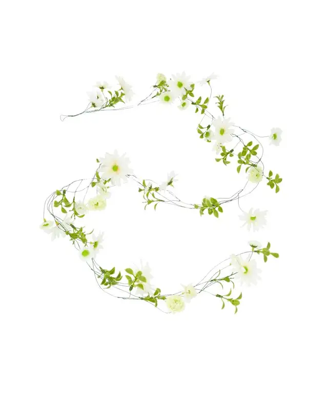 Köynnös Floria