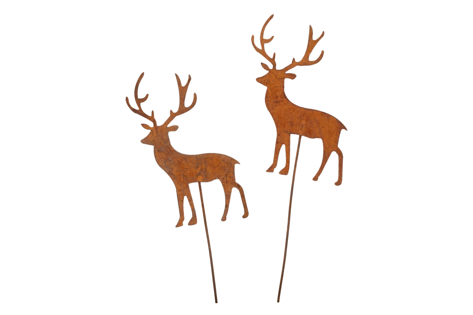 Stick Hjort Rost