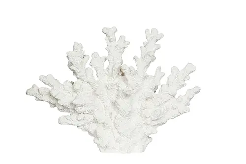 Coral Poly White