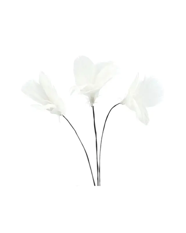 Fjäder Trådad Blom Vit