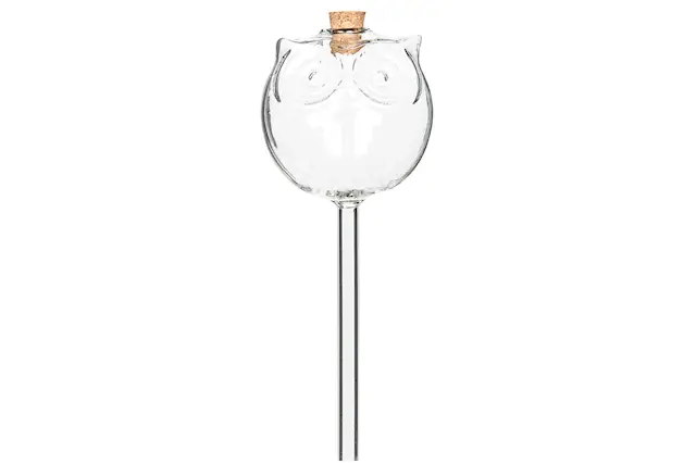 Watering Glass Owl