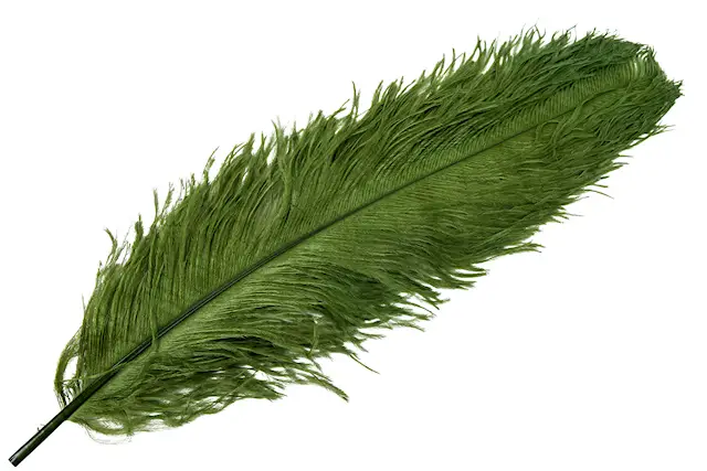 Ostrich Feather Green