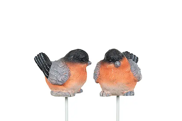 Tikku punatulkku