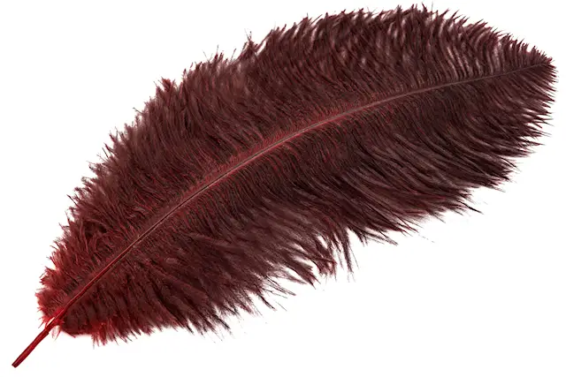 Strutsfjäder Burgundy