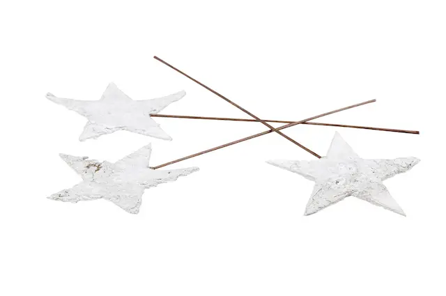 Stick Birch Bark Star White