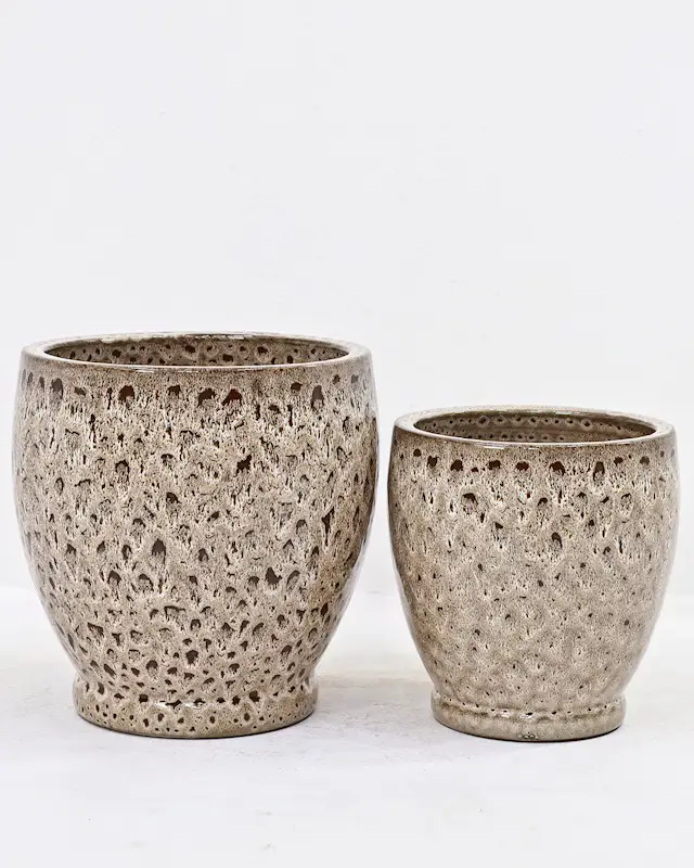 Pot Maj Earthy Low