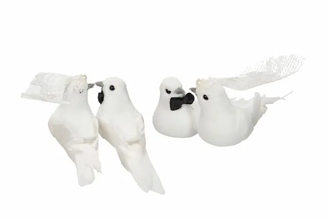 Clip Dove Bridal Couple