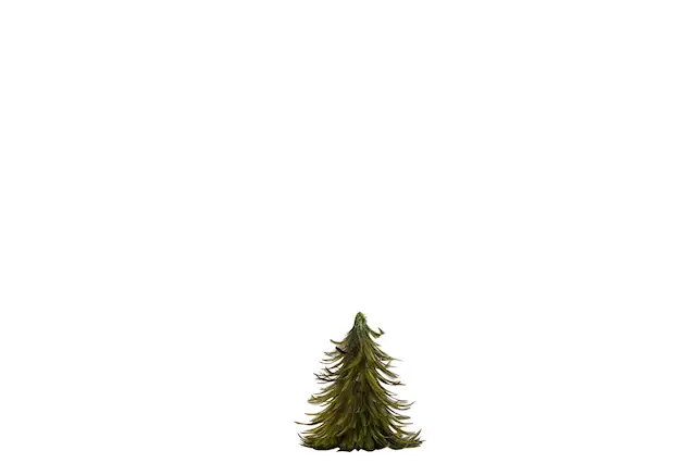 Dekoration Gran Fjäder
