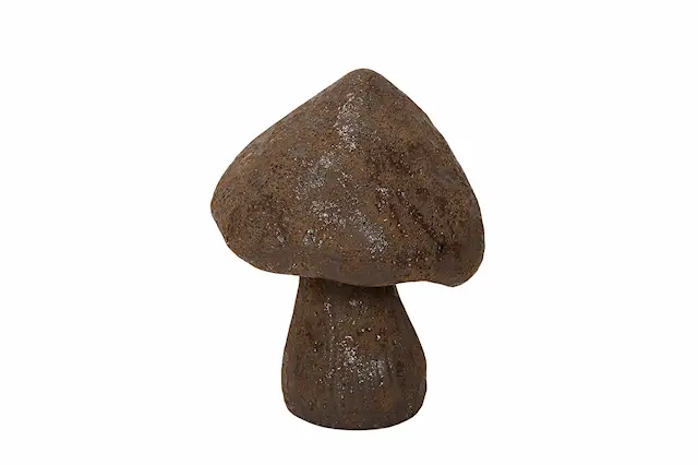 Mushroom Moraine