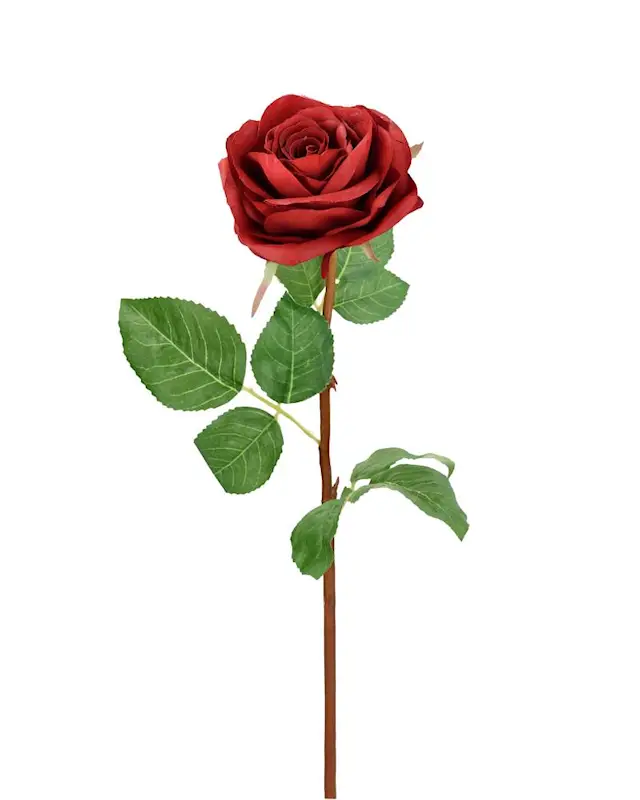 Tekokasvi Ruusu