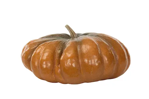 Kurpitsa Appelsiini. Luonnollinen Poly