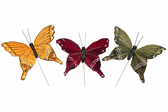 Stick Butterfly Forest Mix