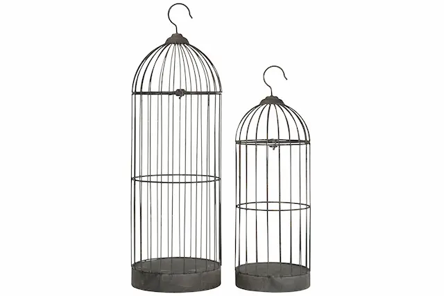 Cage Birdie Metal