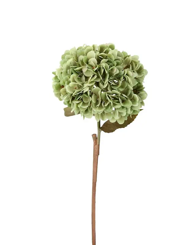 Konstväxt Hortensia Grön