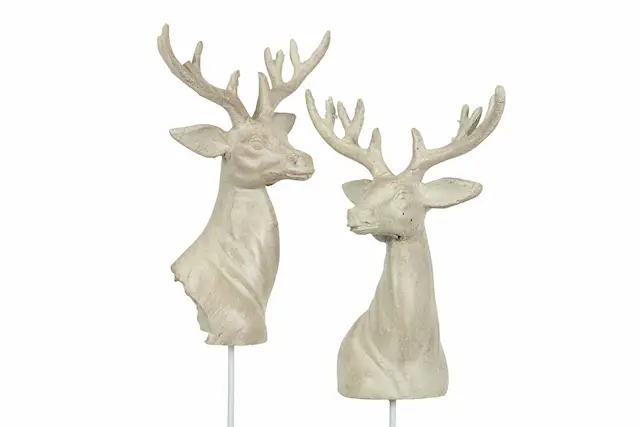 Tikku kauriinpää Natur