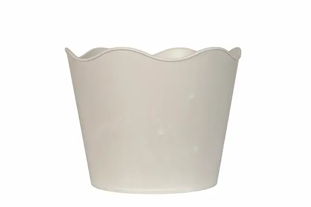 Pot Wave Limestone