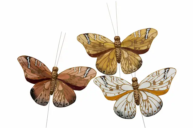 Tikku perhonen Harmony lajitelma