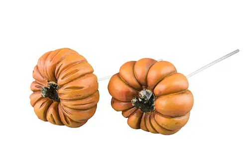 Kurpitsankeppi Appelsiinisekoitus Poly