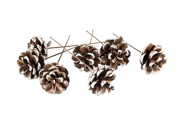 Männynkäpy/lanka valkoinen latva