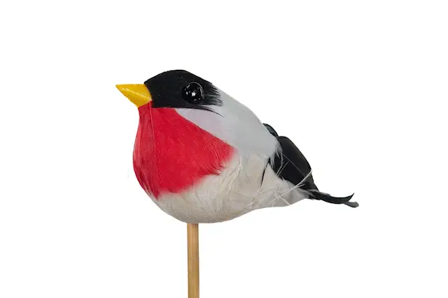 Tikku punatulkku
