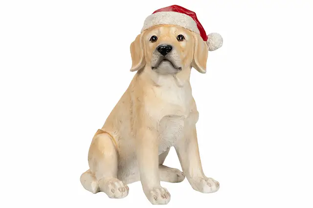 Labradorinnoutaja ja joulupukin hattu