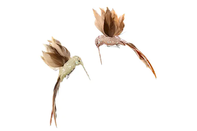 Clip Kolibri Mix