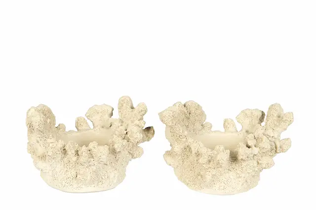 Ljushållare Korall Vit