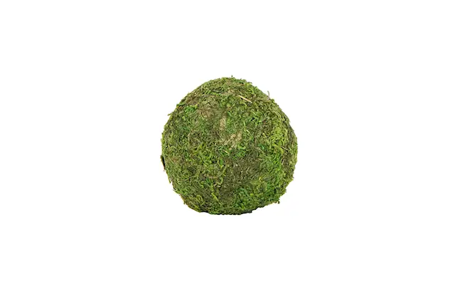Mossboll