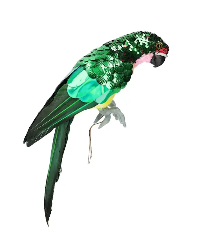 Papegoja Paljetter