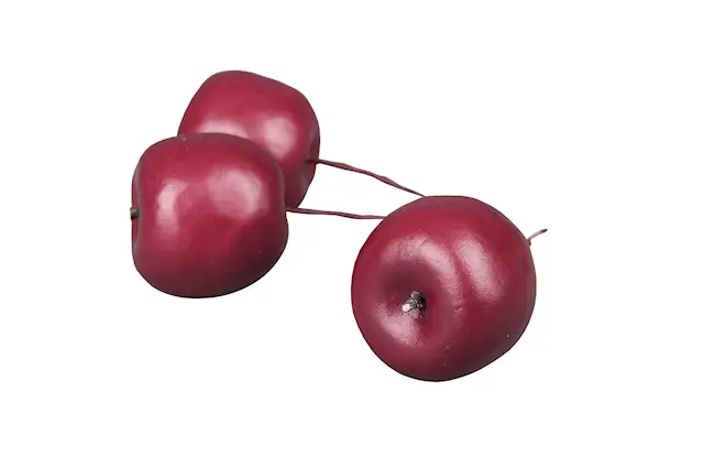 Omena tummanpunainen rautalanka