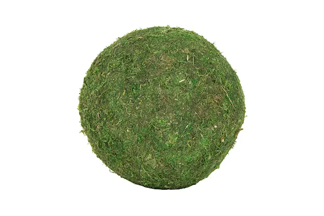 Mossboll