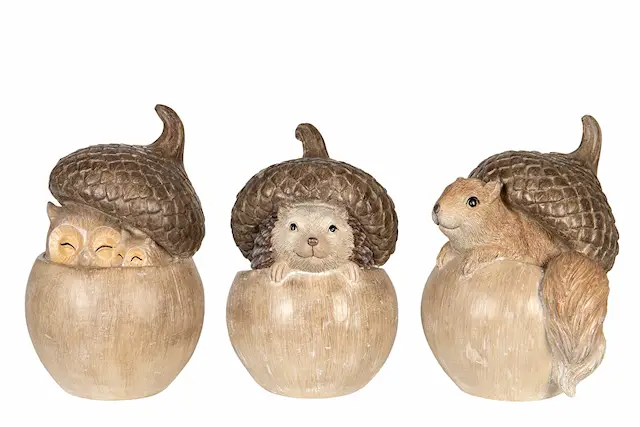 Squirrel Peekaboo Mix