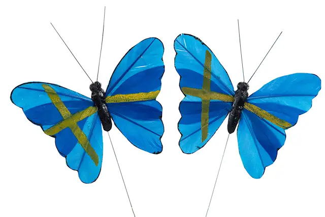 Stick Butterfly Sweden