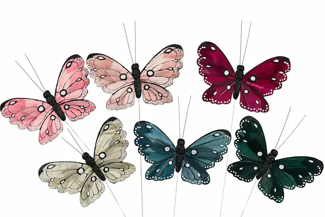 Stick Butterfly Jane Mix