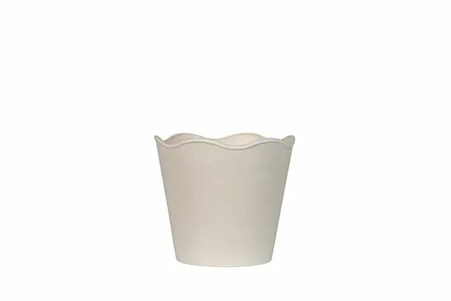 Pot Wave Limestone