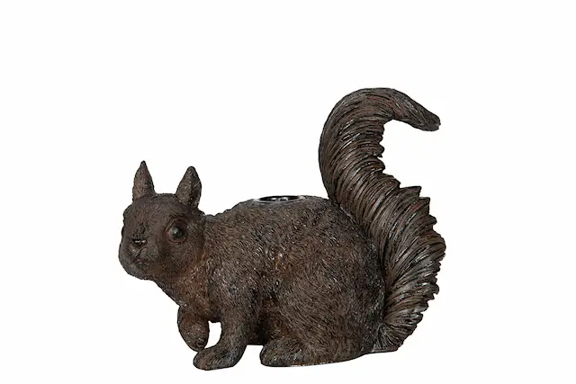 Candlestick Squirrel