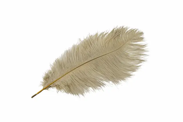 Strutsfjäder Mullvad/Blå